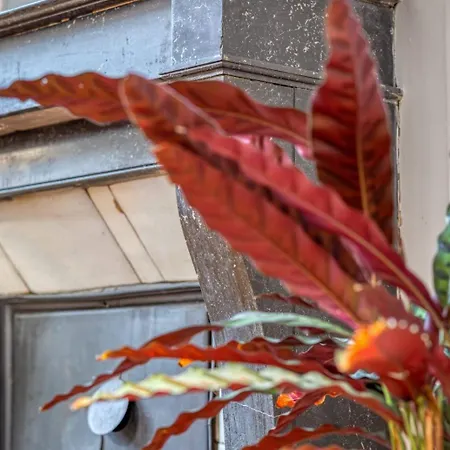 Apartment Le Passage Du Renard Pour 6 Personnes Avec Parking *